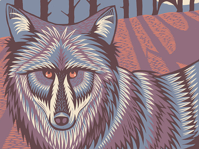 Wolf animal digital editorial folioart illustration nature nick hayes wildlife wolf