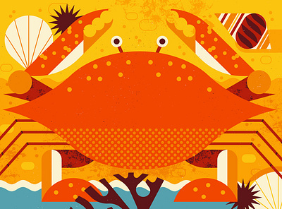 Coastal Crab animal beach crab digital folioart illustration ocean owen davey sea travel wildlife