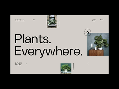 Plant Gallery Blog animation experience loading menu minimal mp4 scroll type type design typography ui ux video