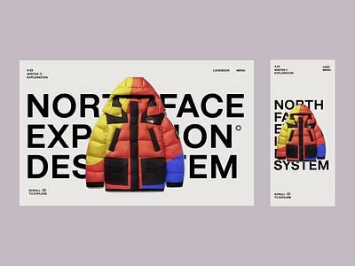 North Face Responsive animation destop menu minimal mobile parallax responsive scroll type typography ui ux video website