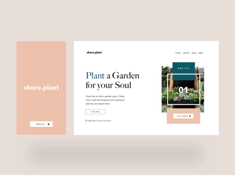 Plant — Learn — Reward Symmetry animation buttons digital gif loading menu pink plant typography video website