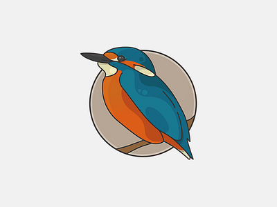 KINGFISHER abstract animal bird clean illustration illustrator kingfisher minimal simple vector