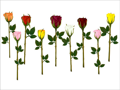 Set of roses vector