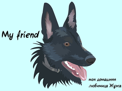 A pet. Vector portrait from a photo of my dog