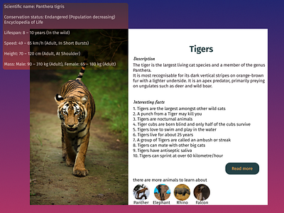 Daily UI Challenge #45 animals daily ui challenge 45 design info cards tigers ui ux