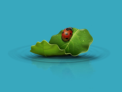 Ladybird and Puka leaf floating illustration ladybird leaf