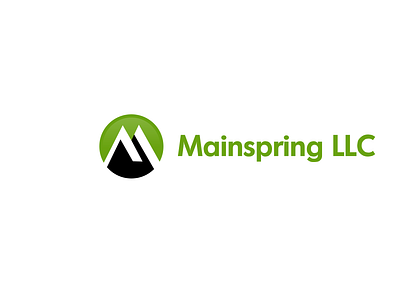 Brand Identity for Mainspring LLC brand design brand identity branding design graphic art logo ui