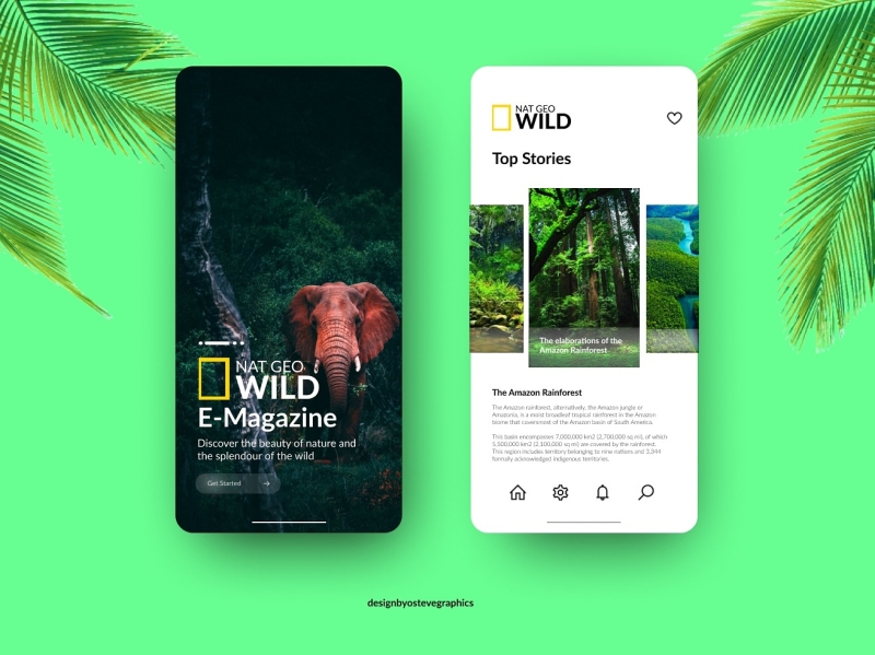 Wildlife phone app UI design by Ogunniran Stephen on Dribbble