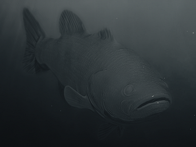 Underwater bass 3d fish underwater zbrush