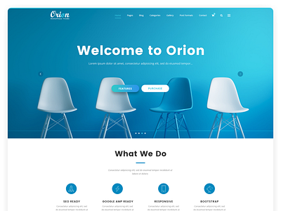 Orion Wordpress Theme