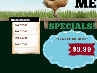 Evolution of a Chicken Hatching Egg Site 1 chickens ecommerce evolution process web design