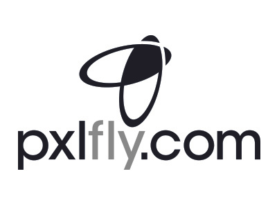 Pxlfly creative design fly graphic pixel