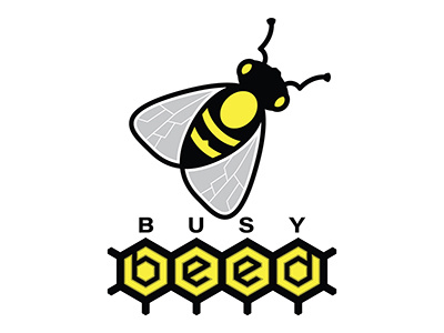 Busy Beed 3 01 branding illustration logo design