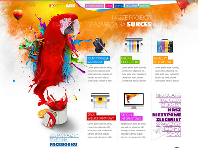 Print and Advertising advert advertising colorful design parrot print web web design