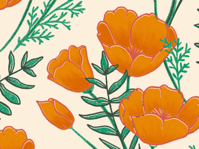 California Poppies 100 day project california poppies digital painting drawing floral floral pattern pattern poppies tattoo texture