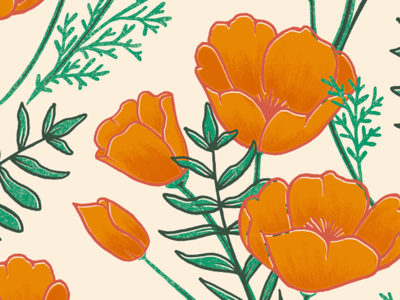 California Poppies