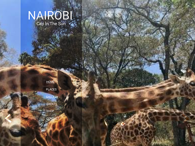 Nairobi Pt2 design flat ui ux web