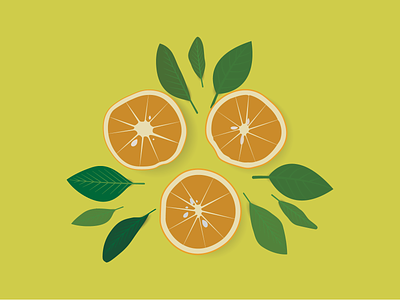 Sweet Orange With Leaves Illustration fruit fruit illustration illustration leaf leaves natural orange organic sweet orange
