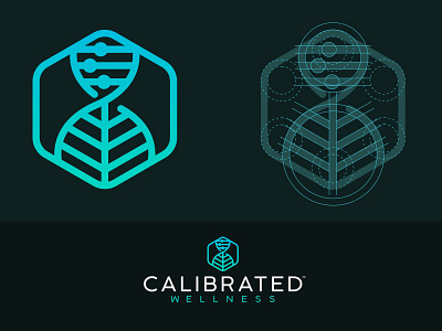 Calibrated Wellness Logo branding cbd cbd logo design icon illustration logo miami
