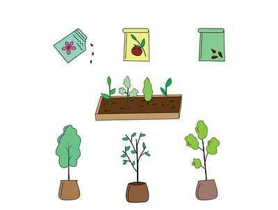seedlings, seeds grower illustration vector