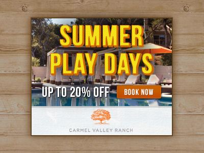 Summer Play Days banner button cta summer textured text wood