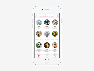 Adoptly - Find & Rescue Pets` app apple cats collection view dogs filter grid ios iphone ui ux