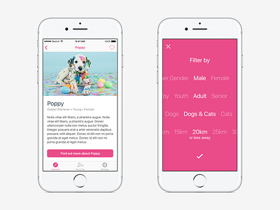 Adoptly - Find & Rescue Pets (Profile & Filter Views) adoptly app apple filter ios iphone profile ui ux