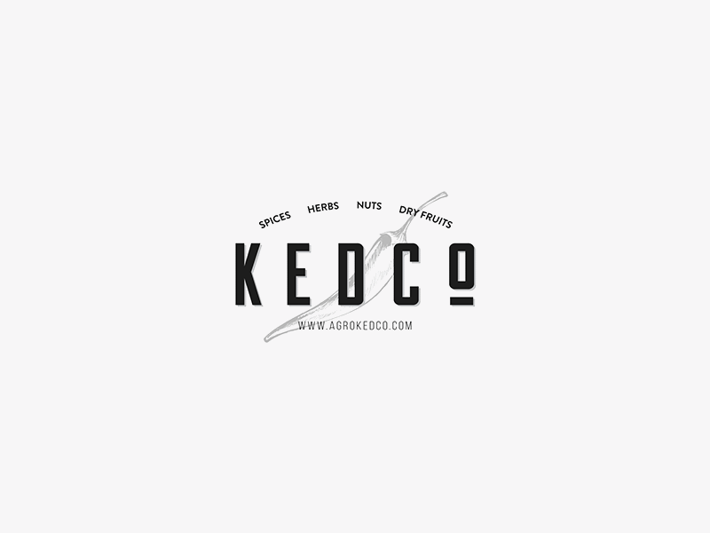 Kedco Rebranding animate design flat. logo retro simple ui ux