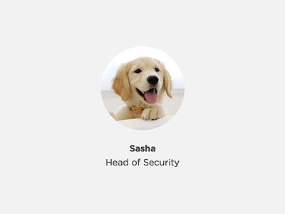 New head of security! dog headshot photo puppy team