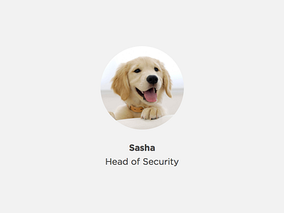 New head of security!