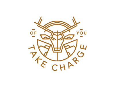 Take Charge of You