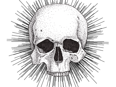 Dotwork skull drawing illustration ink micron pen skull