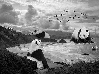 Panda Beach pandas