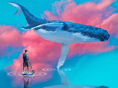 Whale Of A Time boarder clouds floating humpback paddle paddleboarding photoshop whale whales