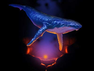 Whale in Hands animal blue glow hands humpback light photoshop whale
