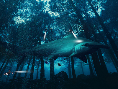 Mega Shark Forest