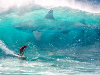 Surfing with a Giant Shark animals beach fish hangten illustration ocean photoshop sea sharks surfboard surfing water wave