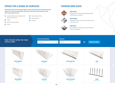 Bird Spikes Website bird clean concept design homepage layout spikes ui ux web design website