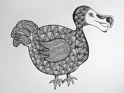 Dodo Dribbble art bird dodo doodle doodleart pen sketch