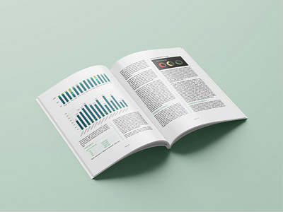 Large document presentation adobe indesign design graphic design graphic designer layout newsletter presentation design