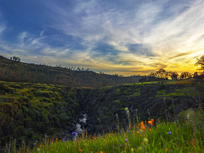 Upper Park calm canyon green nature outdoor park sunset wildflowers