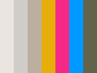 Website Color Palette