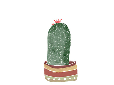 Cactus family of one