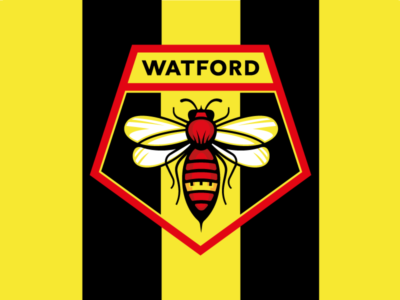Watford FC redesign concept by Sergii Snurnyk on Dribbble