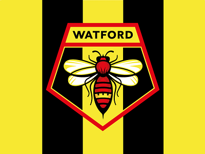 Watford FC redesign concept