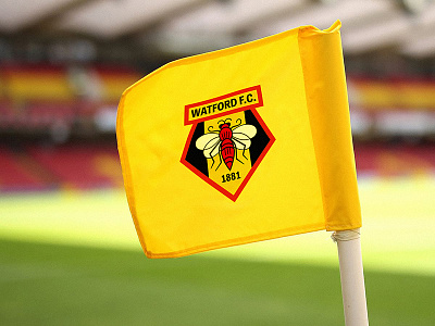 Watford FC badge redesign concept badge crest epl football hornet illustration logo soccer sport watford