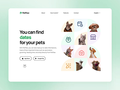 PetPaw | Landing Page Hero app cat color design dog figma hero landing landing page pattern pets ui ux vector vet web website