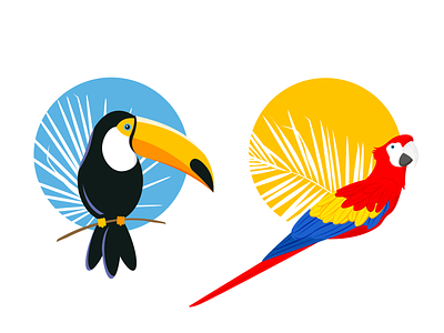 Bright birds 🦜 american ara argentina bird brazil cartoon colourful exotic illustration macaw nature neotropical paraguay parrot ramphastos toco toucan vector wildlife zoo