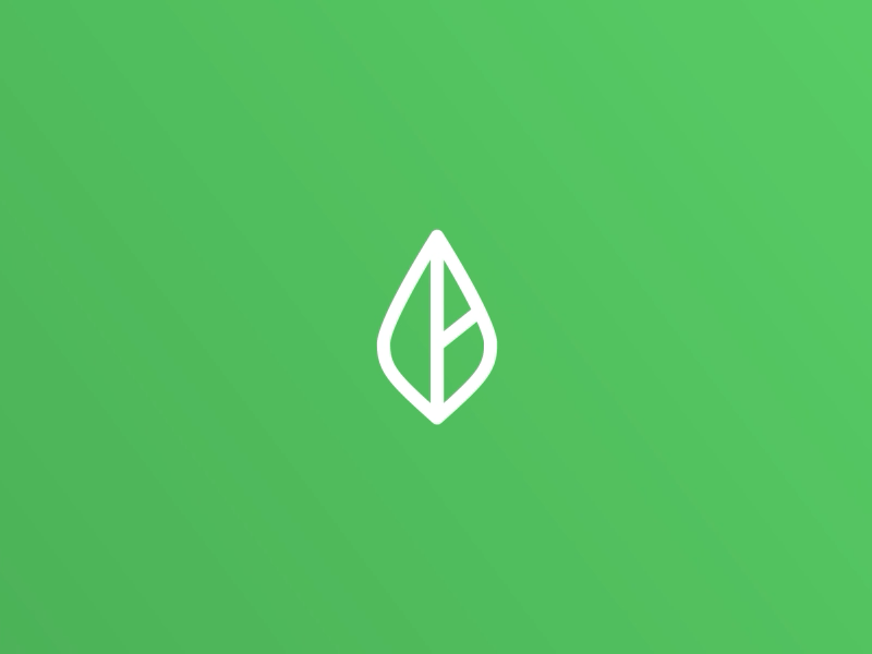 Logo Animation – Branch