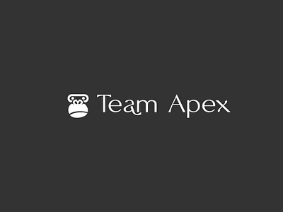 Team Apex logo branding design flat logo logo design